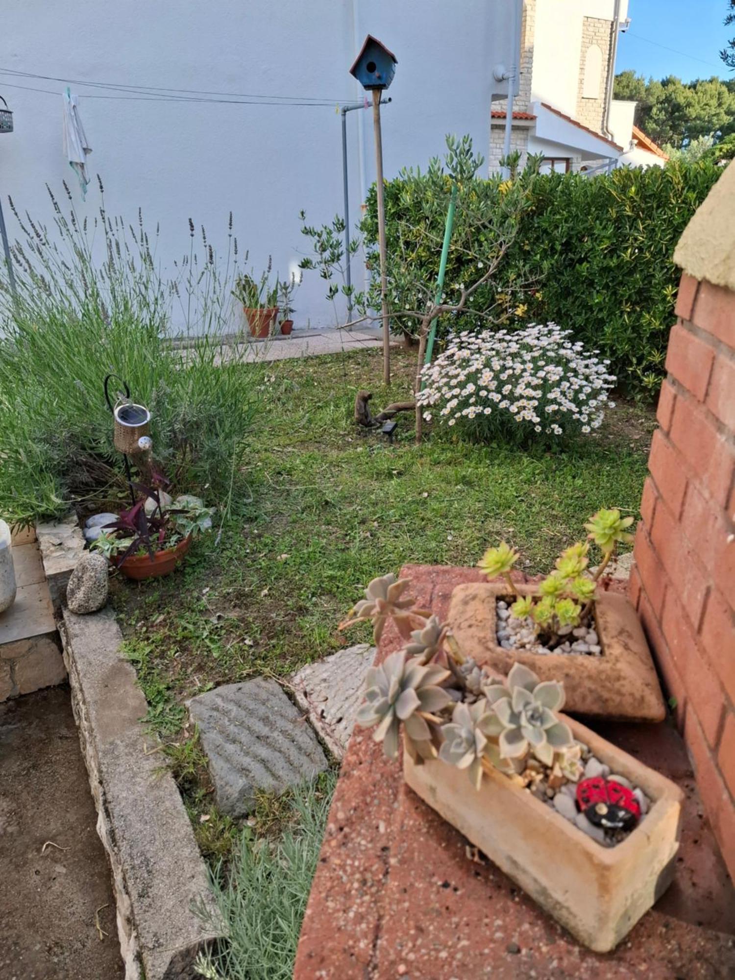 Villa Little House Kucica Banjol Exterior foto